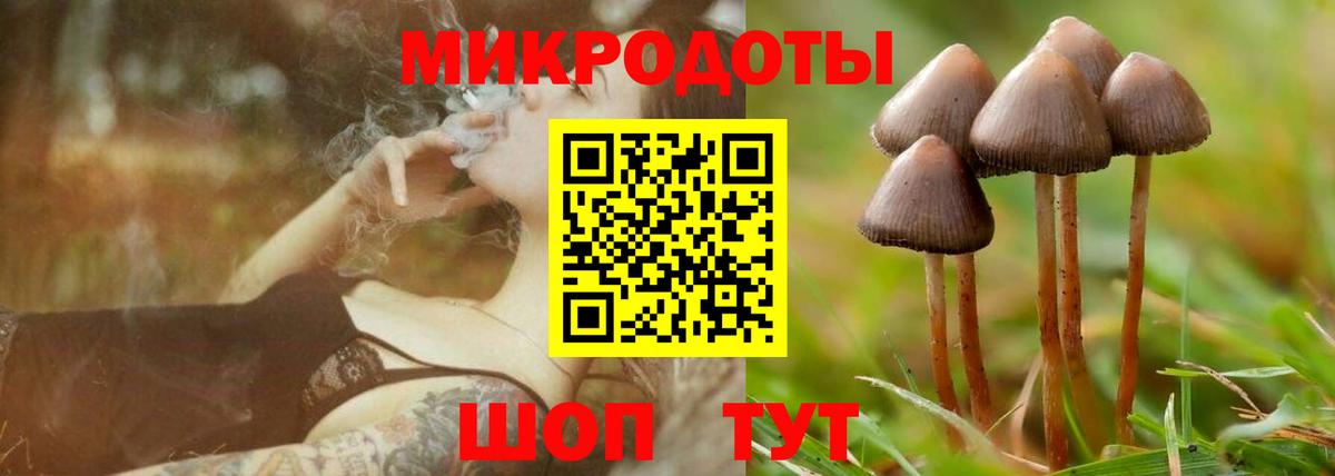 Галлюциногенные грибы мухоморы Нарьян-Мар